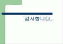 [마케팅] 선발 및 후발주자의 마케팅전략 33페이지