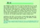사회복지, 자원봉사활동의 실제사례와 그에 대한 생각 8페이지
