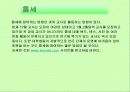 사회복지, 자원봉사활동의 실제사례와 그에 대한 생각 9페이지