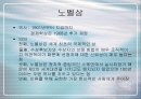 노벨상에 대하여 2페이지