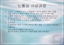 노벨상에 대하여 6페이지