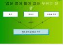 [마케팅관리]롯데 '검은콩우유' 마케팅 사례조사  11페이지