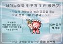 생애능력과 학교 교육의 개혁(학교 교육의 현황과 문제점, 개혁방안) 27페이지
