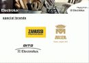 M&A 전문기업 Electrolux 일렉트로룩스 13페이지