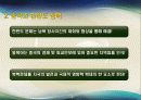 미국과 중국 주도의 동북아 질서 재편과정에서 한국의 대외정책 전망 12페이지