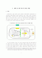 국가경쟁력 확보를 위한 E-네트워크의 개선방안 2페이지