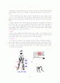 골프 단계별 레슨 및 교정클리닉 12페이지
