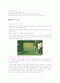 골프 단계별 레슨 및 교정클리닉 13페이지