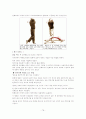 골프 단계별 레슨 및 교정클리닉 80페이지