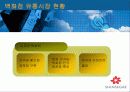 국내 유통시장의  현재와 미래 전략 10페이지