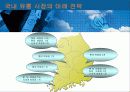 국내 유통시장의  현재와 미래 전략 17페이지