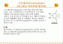 총 질소  16페이지