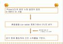 총 질소  34페이지