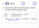 Total Phosphorus (총인) 측정 4페이지