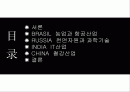 BRICs가 한국경제에 미치는 영향 2페이지
