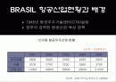 BRICs가 한국경제에 미치는 영향 10페이지