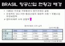 BRICs가 한국경제에 미치는 영향 11페이지