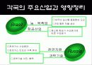 BRICs가 한국경제에 미치는 영향 35페이지