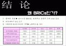 BRICs가 한국경제에 미치는 영향 37페이지