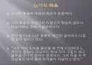 중국현대문학 노사老舍 낙타상자 연구  30페이지