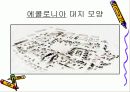 환경학 에콜로니아....파포입니다. 3페이지