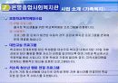 지역사회복지(ppt작업) 13페이지