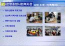 지역사회복지(ppt작업) 14페이지
