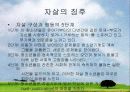 청소년 자살과 예방, 치료책에 대한 고찰 6페이지