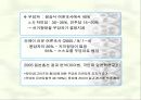 일본의 극우파와 정치적 영향력에 대하여 7페이지