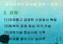 참여정부에 대하여 18페이지