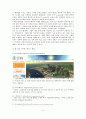 [사회과학] UCC 조사 보고서 5페이지
