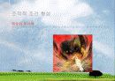 심리학의 이해 : '학습'에 대하여 20페이지
