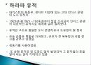 인더스 문명 모헨조다로와 하라파에 대하여 5페이지