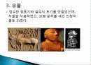 인더스 문명 모헨조다로와 하라파에 대하여 6페이지