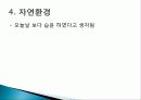 인더스 문명 모헨조다로와 하라파에 대하여 8페이지