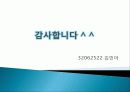 인더스 문명 모헨조다로와 하라파에 대하여 13페이지