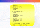 장애인복지법 2페이지