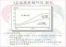 소프트웨어 공학 개요 6페이지
