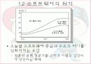 소프트웨어 공학 개요 8페이지