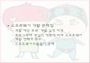 소프트웨어 공학 개요 9페이지