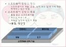 소프트웨어 공학 개요 11페이지