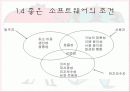 소프트웨어 공학 개요 13페이지