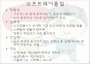 소프트웨어 공학 개요 14페이지
