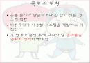 소프트웨어 공학 개요 22페이지