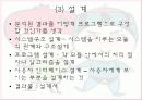 소프트웨어 공학 개요 24페이지