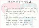 소프트웨어 공학 개요 27페이지