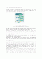 VoIP의 시장동향과 가능성 11페이지