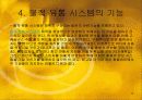 물적유통(fedex사례) 14페이지