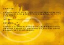 물적유통(fedex사례) 22페이지