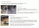 창덕궁의 기본 배치와 구조 28페이지